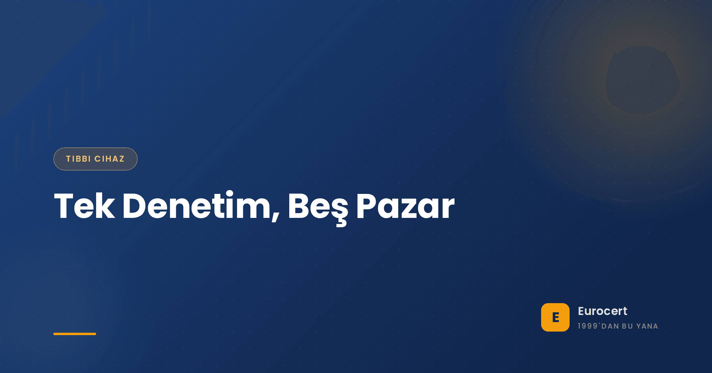 Beş ihracat pazarını kapsayan tek bir MDSAP denetim raporunu inceleyen tıbbi cihaz kalite yöneticisi