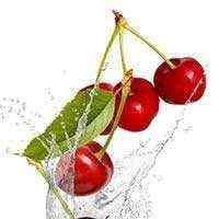 GIDA DENETİM VE GÖZETİM HİZMETLERİ