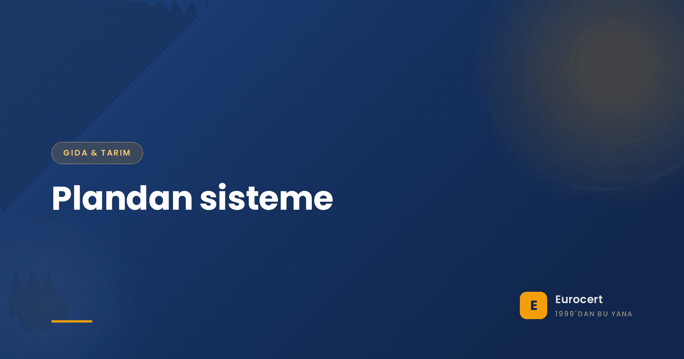 Bir üretim alanında HACCP plan klasörünü ISO 22000 yönetim sistemi belgeleriyle karşılaştıran gıda güvenliği yöneticisi