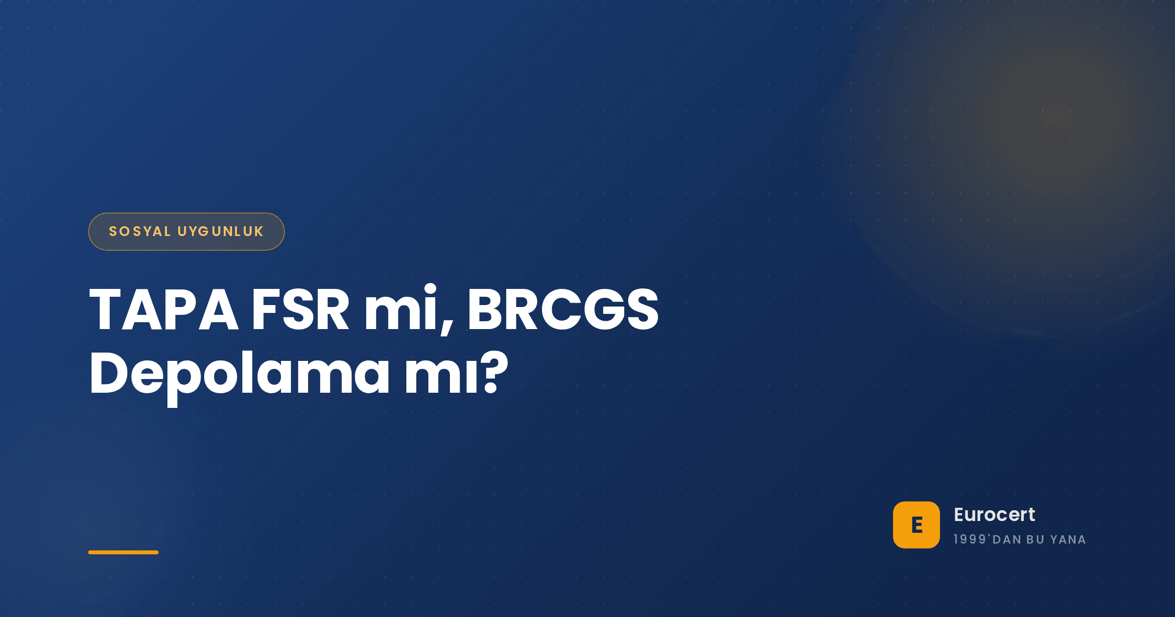 Çevre güvenliği, kamera ve geçiş kontrolü olan güvenli bir lojistik deposu; TAPA FSR ve BRCGS Depolama ve Dağıtım güvenliğini temsil ediyor